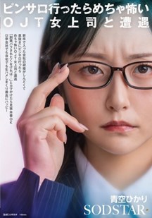 女上司的副业秘密封面图