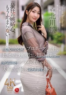 向心爱之人求婚那天封面图