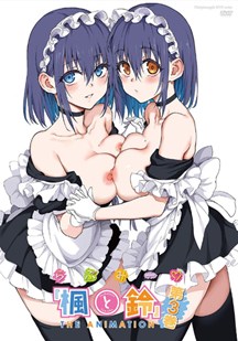 枫与铃第3卷封面图