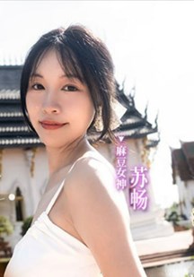 我是苏畅 我回来了封面图