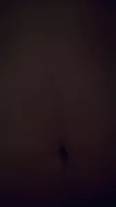 和E罩杯女粉丝的约会封面图