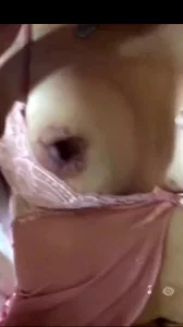 老熟女人妻封面图