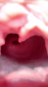 骚母狗展示超级大逼洞封面图