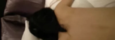 杭州出轨人妻第二波封面图