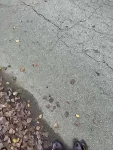 小母狗白天真空散步学校大马路上zw喷水封面图