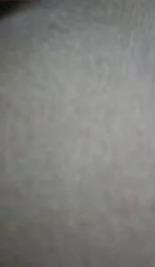 后入青岛肥臀嫩逼黑森林封面图