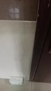 母狗不就应该这样吗封面图