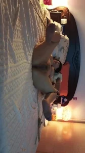 骚逼母狗被绑在床上露脸内射反抗不能封面图