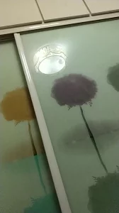 被骚母猪舔奶头，差点被舔射封面图