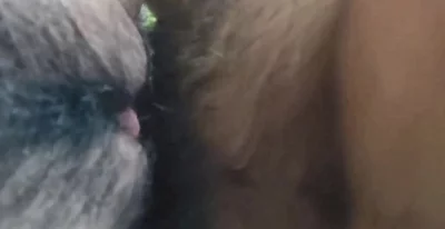 青岛嫩逼黑森林，背后无套抽插扭摸欢乐豆（一）封面图