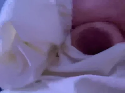 小骚逼 ，封面图