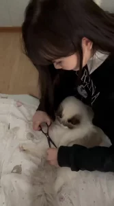 高颜值女同事逼真肥！为了撸猫羊入虎口被大鸡巴插爽了封面图