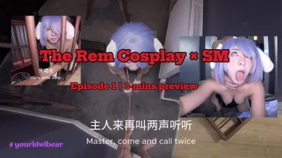 主人喜欢这个雷姆吗封面图