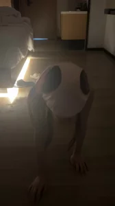 调教母狗，完整版22/36分钟，门槛99私封面图