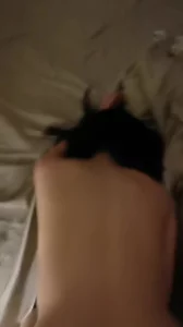 刚上班的大专辅导员封面图