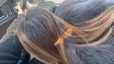 偶尔也调皮一下封面图