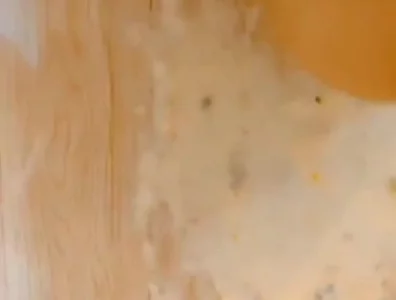 清明假期玩母狗畜牲封面图
