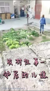 农村性事-邻居的儿媳封面图