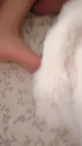 骚脚足交封面图
