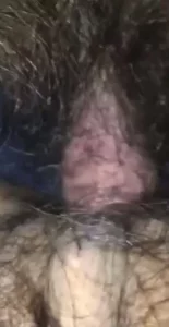 女学生让我快给个痛快直接进封面图