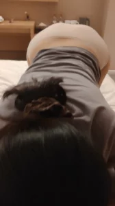 寻找南昌爱吃肉棒的小母狗封面图