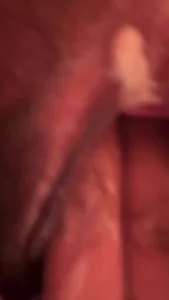 骚货老婆封面图