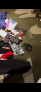 我的母狗封面图