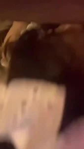 女仆的魅力谁能懂封面图
