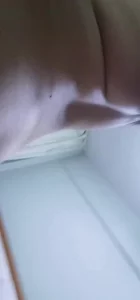 外蒙古熟女翻译封面图