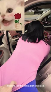 40离异两娃的少妇车震合集封面图