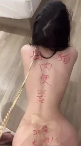 母狗肉便器 插着肛塞 羞辱后入封面图