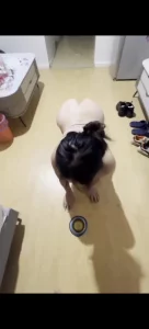 训练985硕士母狗爬行喝圣水封面图