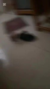 自拍，广西大学室友还是太猛了，4P坐台妹哇哇叫封面图