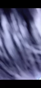 美人妻（车上云雨）封面图