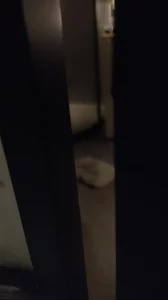洗澡等待封面图