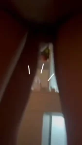 绿奴视角封面图