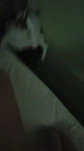 带老婆来重庆玩了，前五秒是生活实际样子，回酒店就先泻火封面图