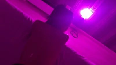 回国约操大连连裤袜骚1封面图
