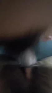 插骚逼人妻封面图