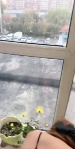 窗前干骚妻封面图