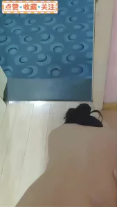酒店开门直接趴门口操对面人还在屋里聊天封面图
