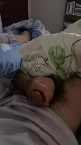玩鸟4封面图