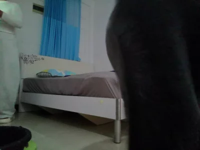 少妇玩69 ～大屁股好光滑封面图